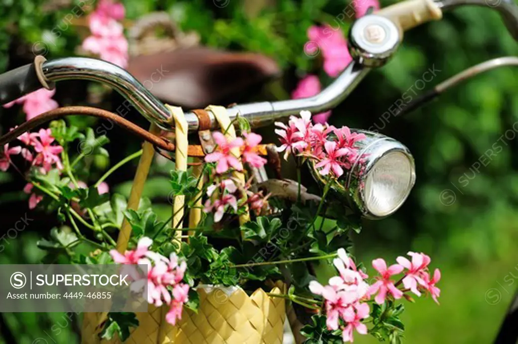 Bike decorated with flowers at a picnic area, Altmuehltal cycle trail, Frankenhoehe nature park, Jochsberg, Bavaria, Germany
