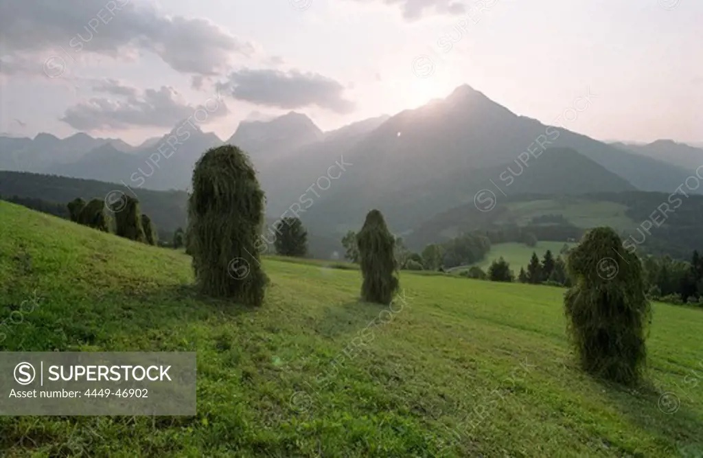 Haystack of mowed Summer grass, Stodertal, Austria, Alps, Europe