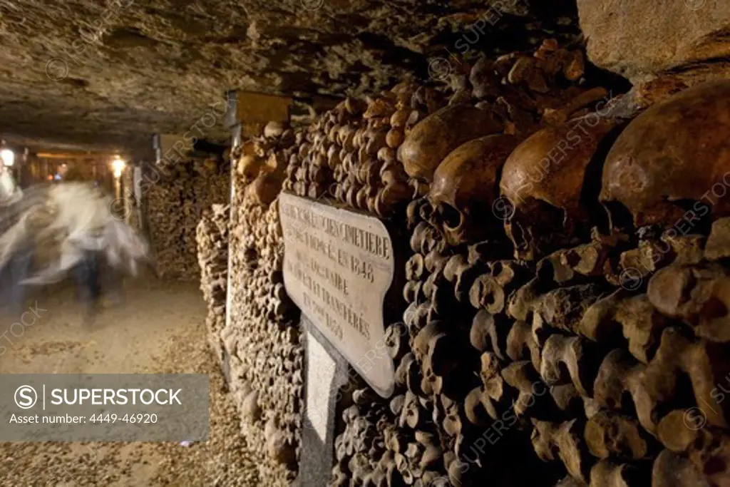Skulls and bones in the catacombs of Paris, Les Catacombes de Paris, Paris, France, Europe