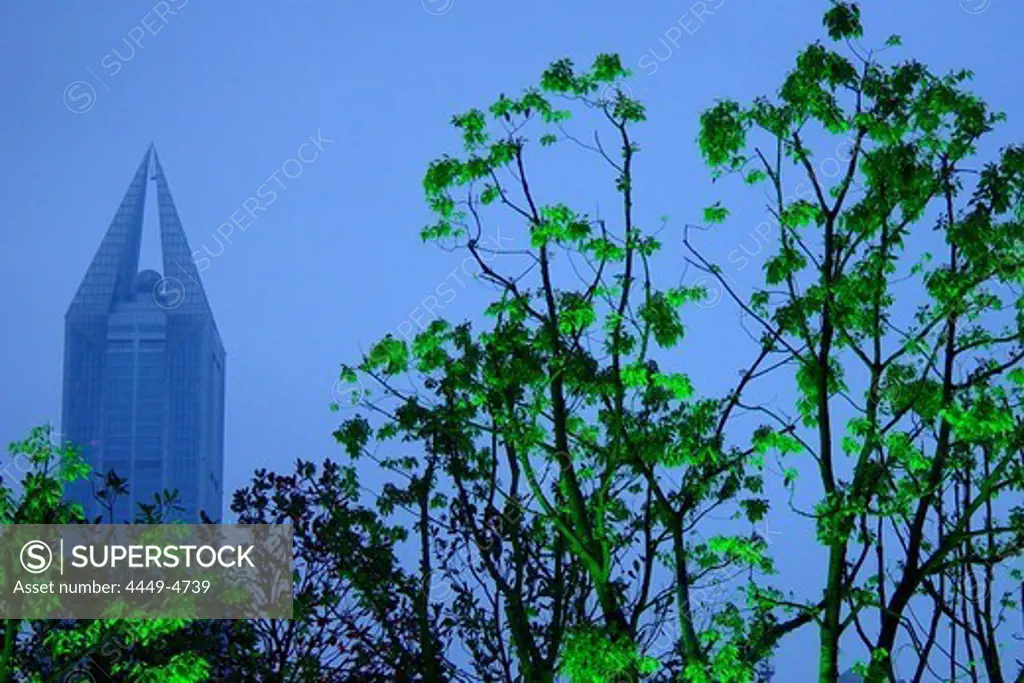 Tree and building in the evening, Shanghai, China, Asia