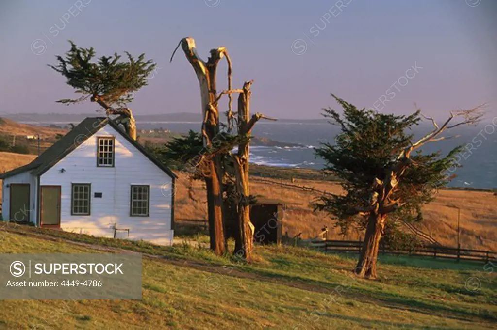 Wooden house and coast area in the evening sunlight, Sonoma Coast State Beaches, Sonoma County, California, USA, America