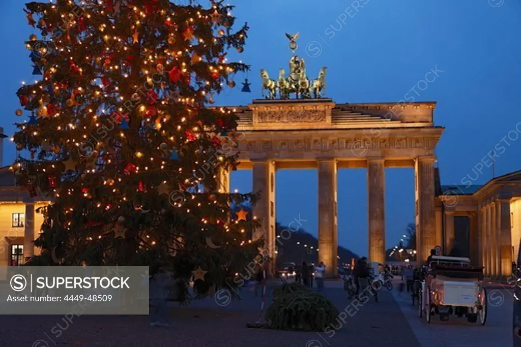 Christmas tree near Brandenburg Gate, Berlin, Germany