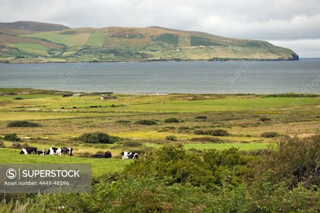 Tralee Bay, Dingle Peninsula, County Kerry, Ireland