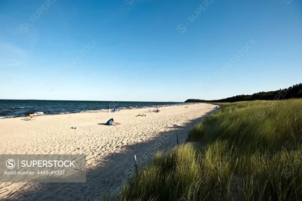 Beach at Ruegener Bodden, Island of Ruegen, Mecklenburg-Vorpommern, Germany