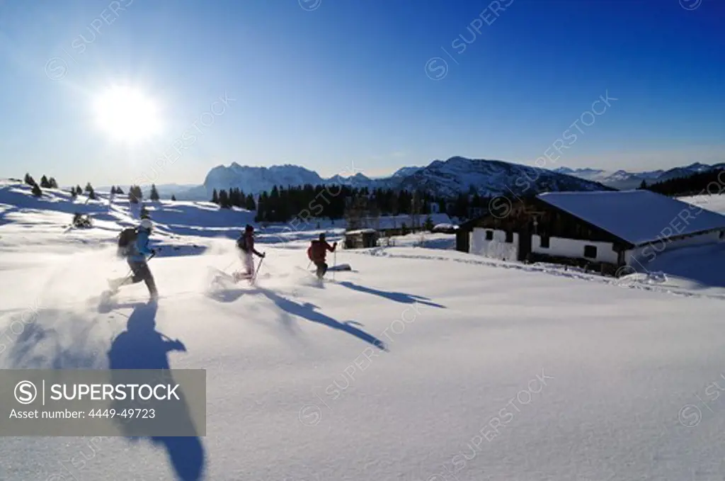 People snowshoeing in snowy landscape, Eggenalm, Reit im Winkl, Chiemgau, Upper Bavaria, Bavaria, Germany, Europe