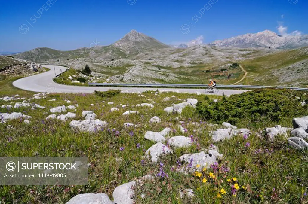 Cyclist on lonesome country road, Castel del Monte, Campo Imperatore, Abruzzi, Italy, Europe