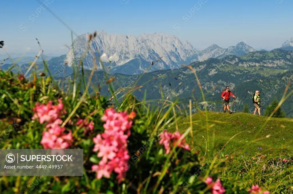Hikers at Eggenalm, in the background the mountain Wilder Kaiser, Reit im Winkl, Chiemgau, Upper Bavaria, Bavaria, Germany, Europe