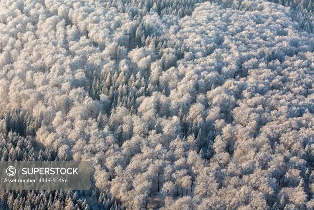 Aerial view of winter snow on a mixed forest near Hannover, Lower Saxony, Germany