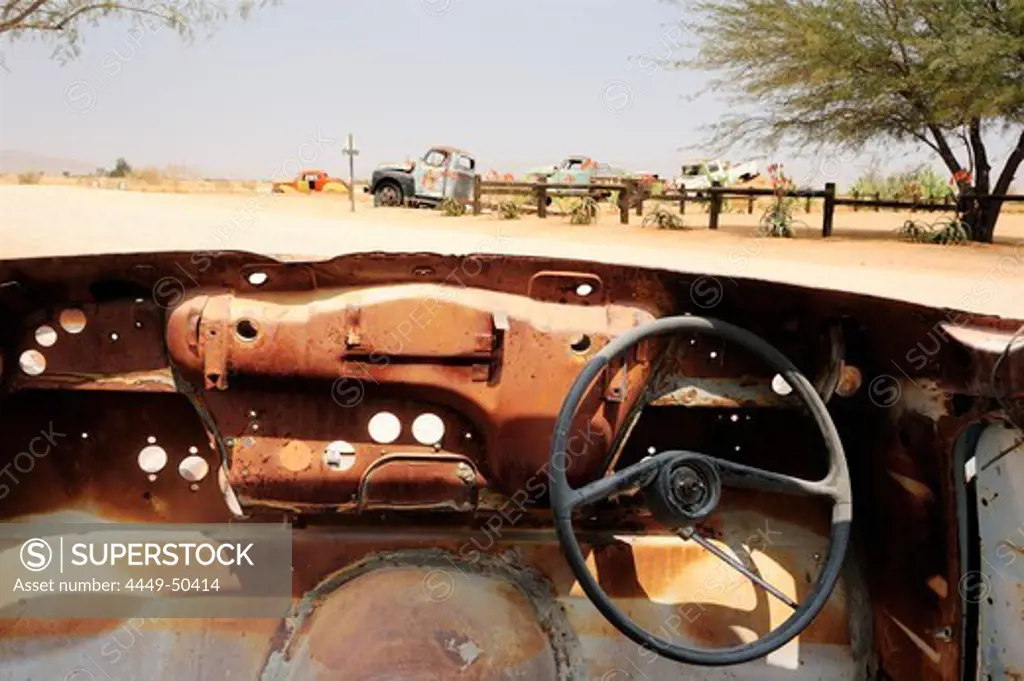 Steering wheel in wreck without windshield standing in sand between cactus, Solitaire, near Namib Naucluft National Park, Namib desert, Namibia