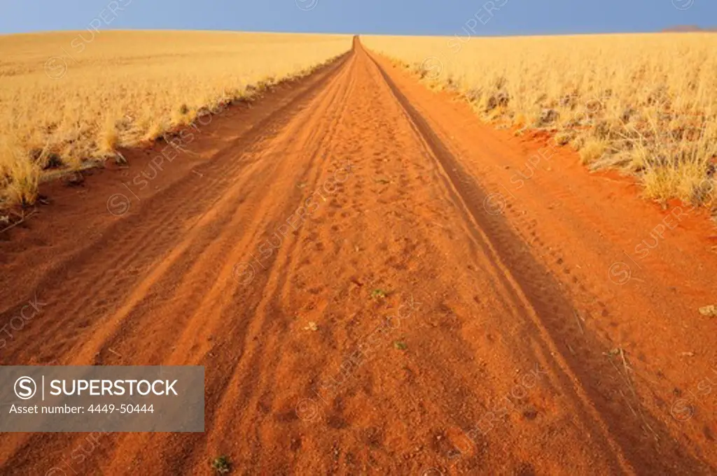 Sand road with red sand leading through savannah, farm pad, Namib Rand Nature Reserve, Namib desert, Namib, Namibia