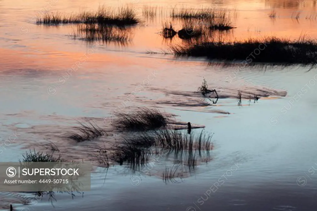 Grasses in the river at sunset, Chalon-sur-Saone, Saone-et -Loire, Bourgogne, France, Europe