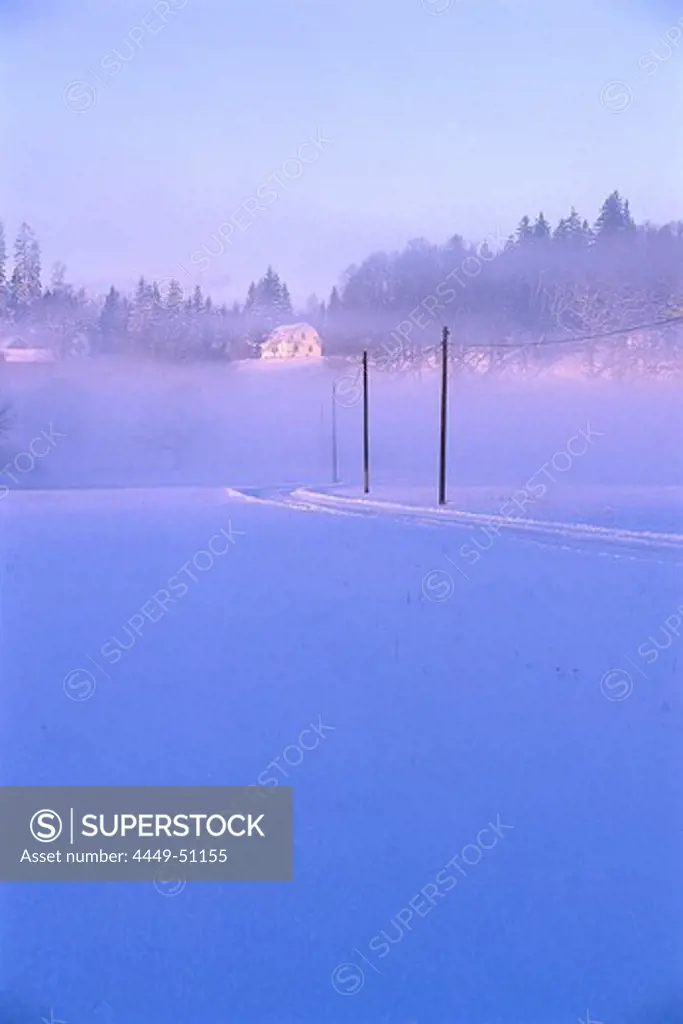 Snow covered street in the morning mist, Vaestergoetland, Sweden, Europe
