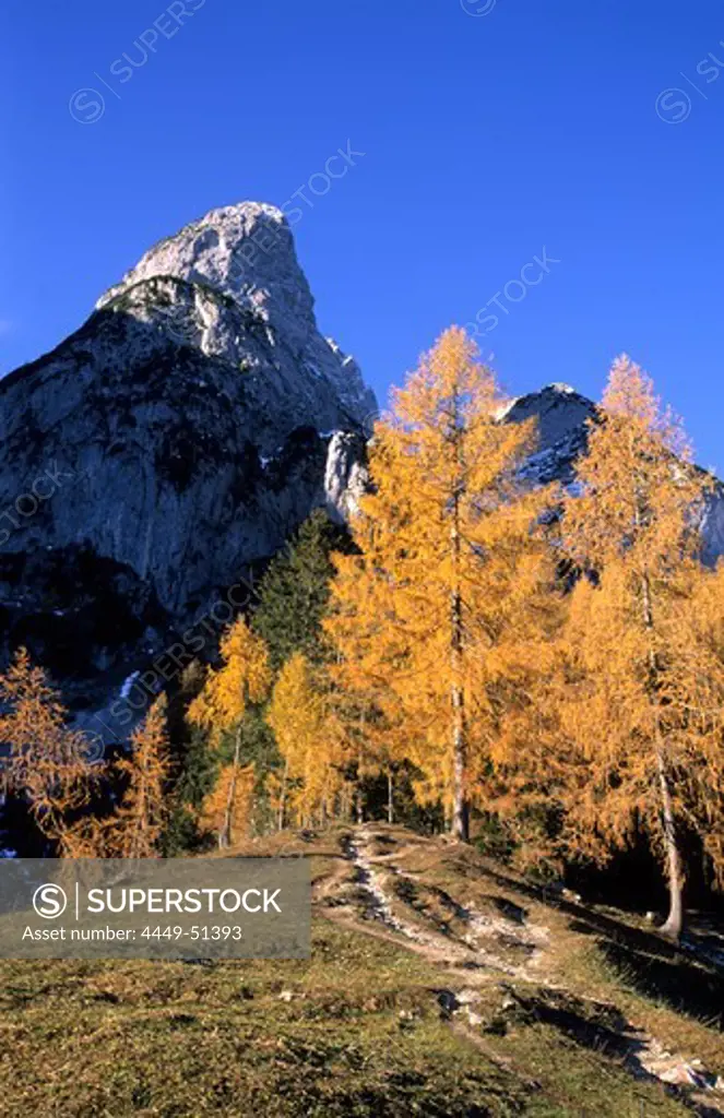 Mountain trail in an Autumn landscape, Donnerkogel, Gosaukamm, Upper Austria, Austria