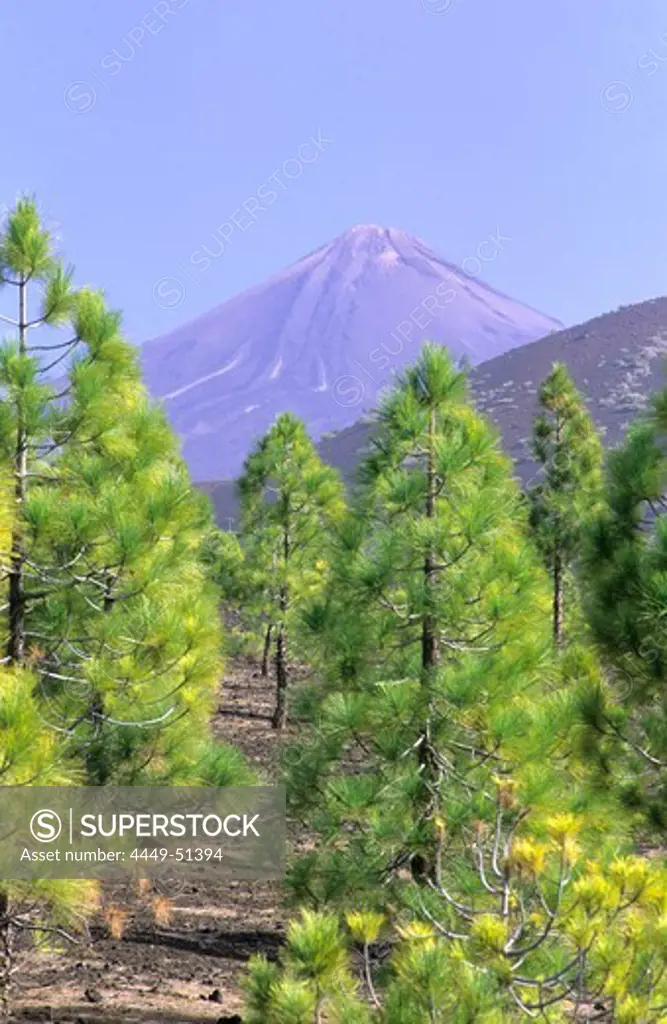Pico del Teide, Teide National Park, Tenerife, Canary Islands, Spain