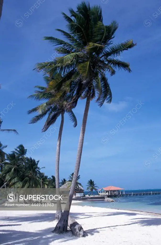 Palm Beach, Hotel beach, San Pedro, Ambergris Caye, Belize, Caribbean Sea, Carribean, America