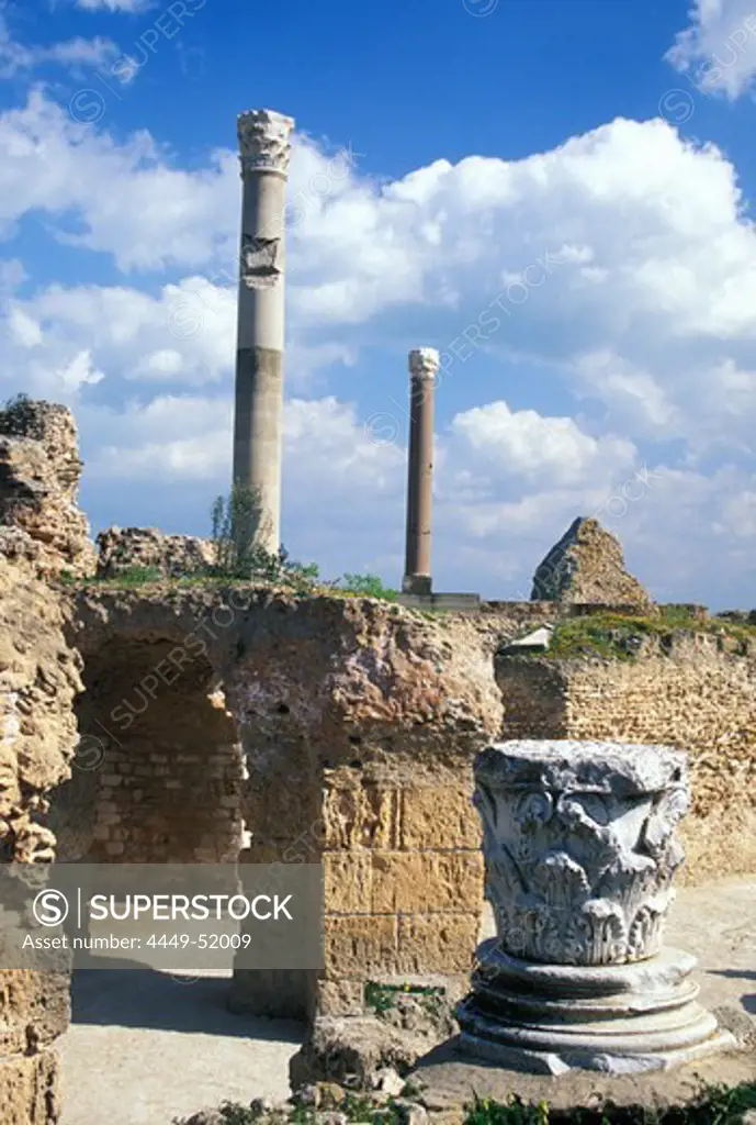 Antonius Pius Thermen, Ruins of Karthago, Roman Villa, Karthago, Tunisia, North Africa, Africa