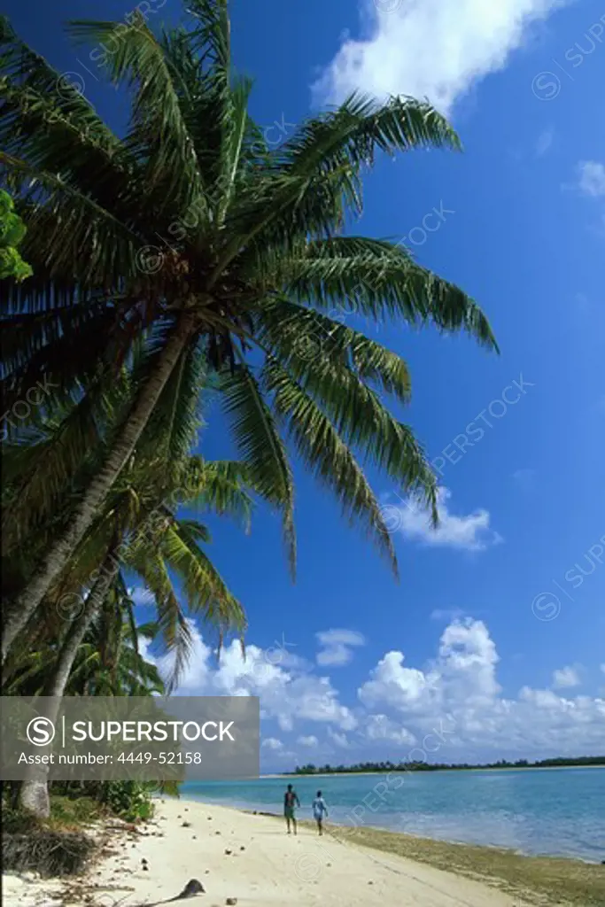 Palm beach, Ile aux Nattes, Ile Sainte Marie, Madagascar, Indian Ocean