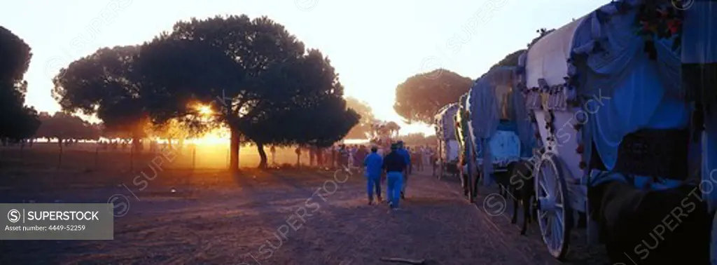 Pilgrims with oxcarts at sunset, Andalusia, Spain