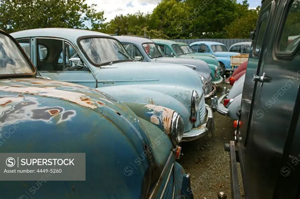 Old cars, Morris car yard, Nelson, South Island