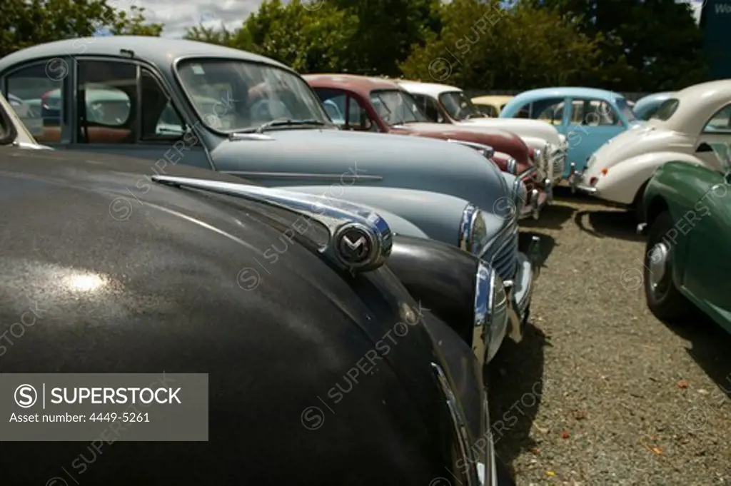 Old cars, Morris car yard, Nelson, South Island