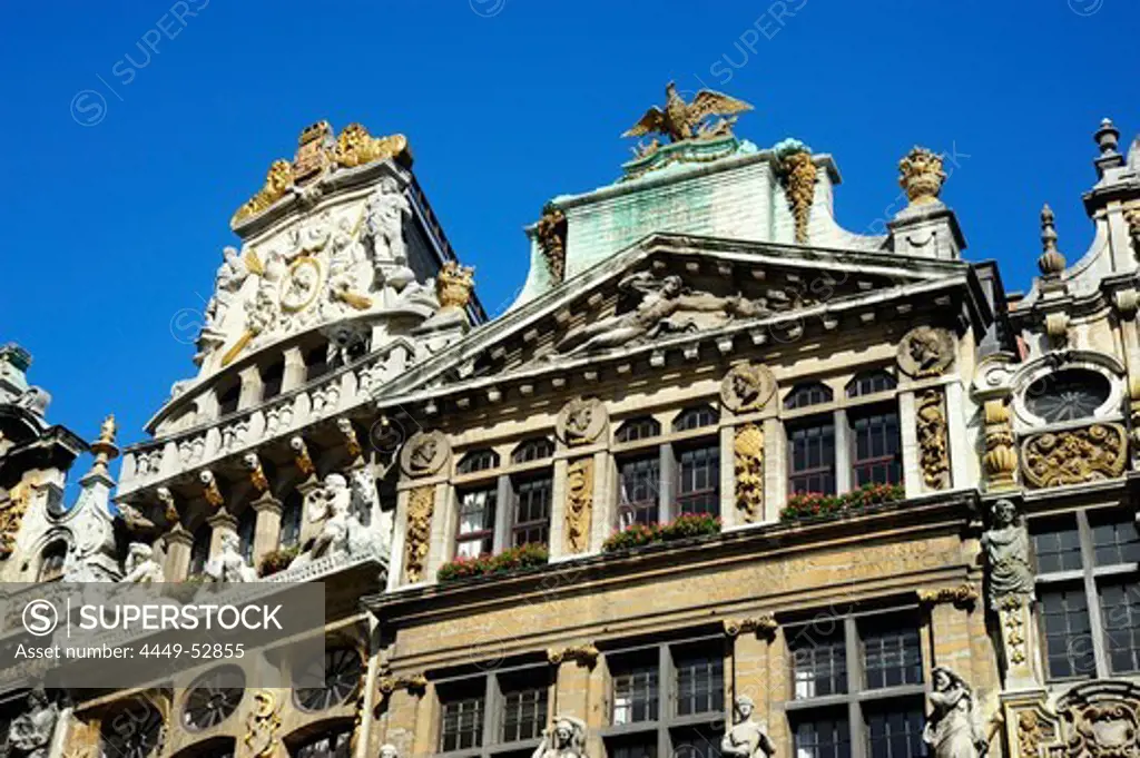 Baroque style houses at the Grand Place in the sunlight, Brussels, Belgium, Europe