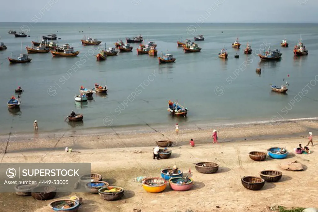 Harbor with fishing boats and coracles, Mui Ne, Binh Thuan, Vietnam