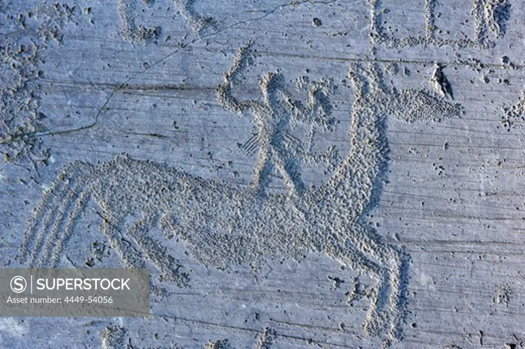 Man standing on horse, Etruscan rock drawing, iron age, Naquane, Val Camonica, UNESCO World Heritage Site Val Camonica, Lombardy, Italy, Europe