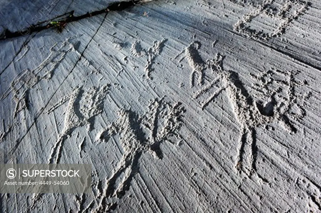 Hunting scene with antler, dog and hunter, Etruscan rock drawing, iron age, Naquane, Val Camonica, UNESCO World Heritage Site Val Camonica, Lombardy, Italy, Europe
