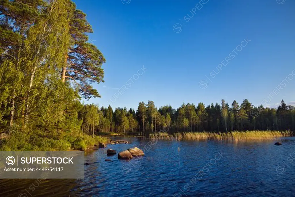 Pristine nature at Boasjoen lake, Smaland, South Sweden, Scandinavia, Europe