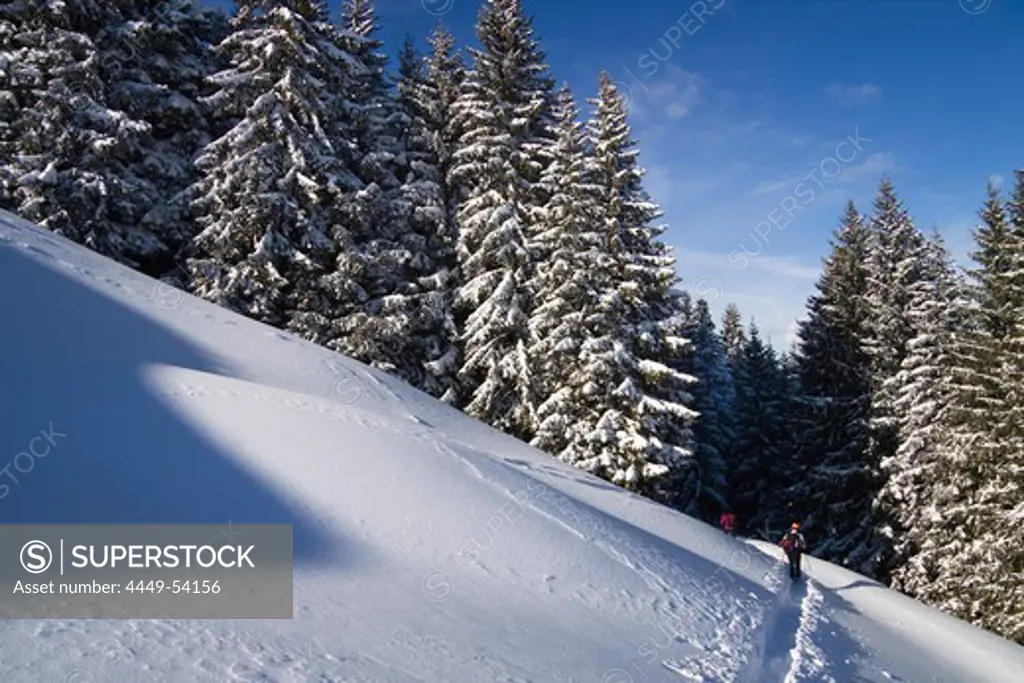 Winter scenery with snoeshoe track on Zwiesel Mountain, Alps near Bad Toelz, Upper Bavaria, Germany, Europe