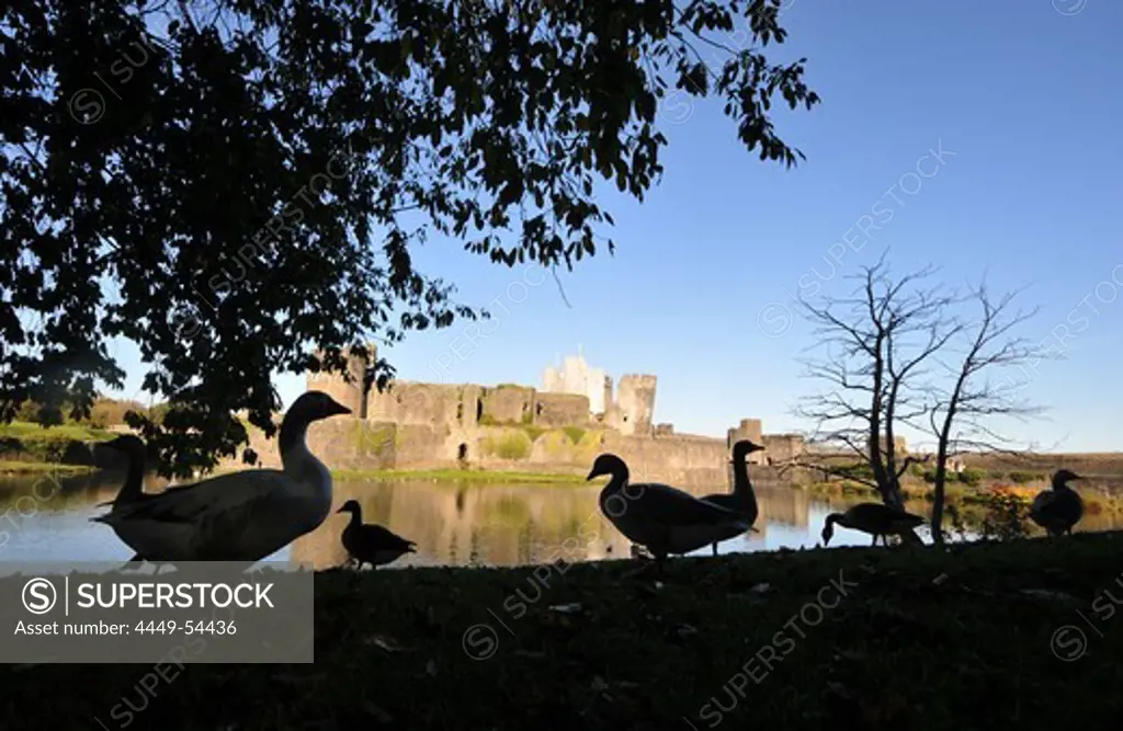 Caerphilly castle, medieval castle in Caerphilly near Cardiff, south-Wales, Wales, Great Britain