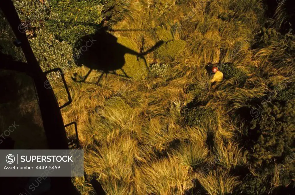 Deer hunting from helicopter, view from helicopter onto vegetation in isolated Fiordland, South Island, New Zealand, Oceania
