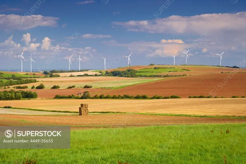 Landscape at Walbig, Agriculture, Eifel, North Rhine-Westfalia, Germany, Europe