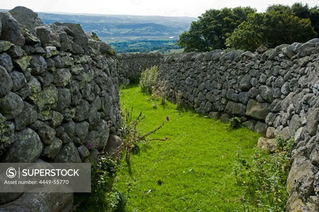 Stone walls above Rowen, Snowdonia National Park, Wales, UK