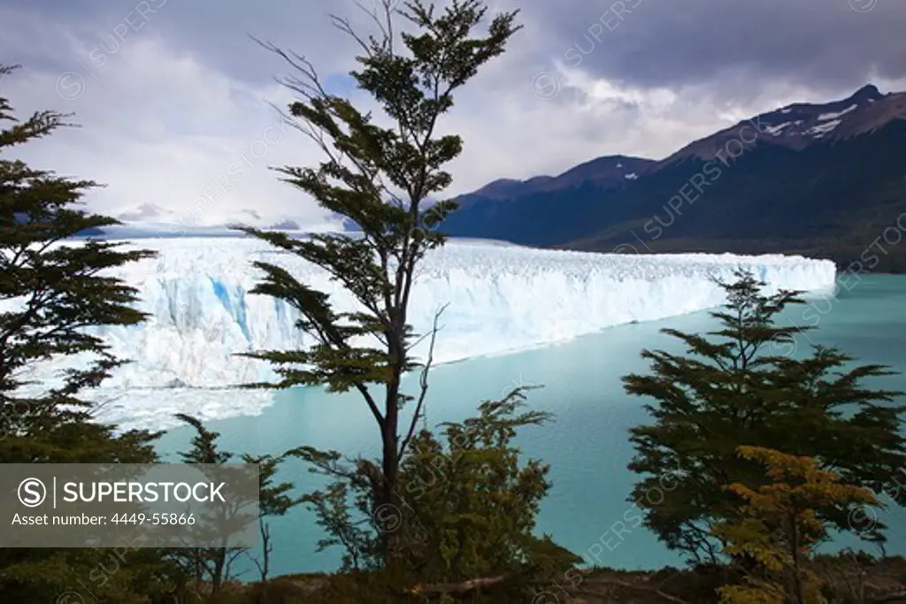 Perito Moreno glacier, Lago Argentino, Los Glaciares National Park, near El Calafate, Patagonia, Argentina