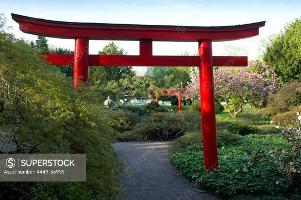 Japanese garden at a municipal park, Karlsruhe, Baden-Wuerttemberg, Germany, Europe