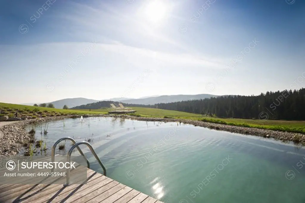 Swimming pool of the Halde hotel in the sunlight, Schauinsland, Black Forest, Baden-Wuerttemberg, Germany, Europe