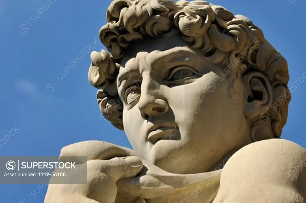 Michelangelo's statue of David, Florence, Tuscany, Italy, Europe