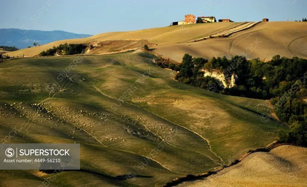 Idyllic hilly landscape. Crete, Tuscany, Italy, Europe