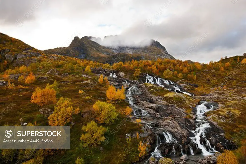 Stream running down a mountain, landscape on the Lofoten at A, Autumn, Moskenesoy, Nordland, Norway, Scandinavia, Europe