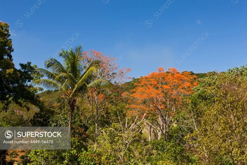 Hills in the Outback, Punta Rucia, Dominican Republic