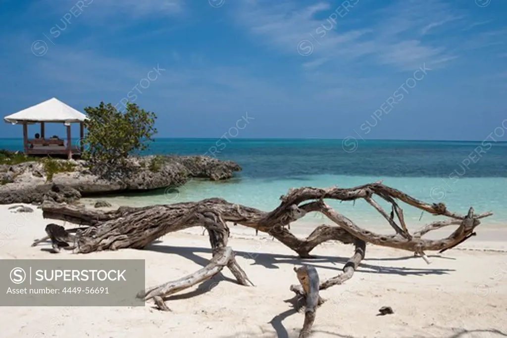 Driftwood on the beach and beach pavilion, Paradisus Rio de Oro resort, Playa Esmeralda, Guardalavaca, Holguin, Cuba