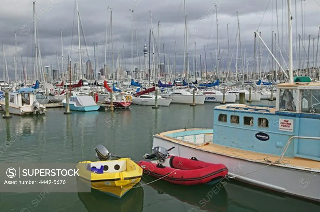 Westhaven Marina, Auckland, North Island, New Zealand