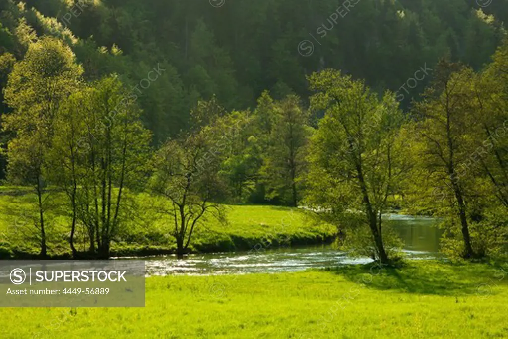 River at Wiesent valley, Fraenkische Schweiz, Franconia, Bavaria, Germany, Europe