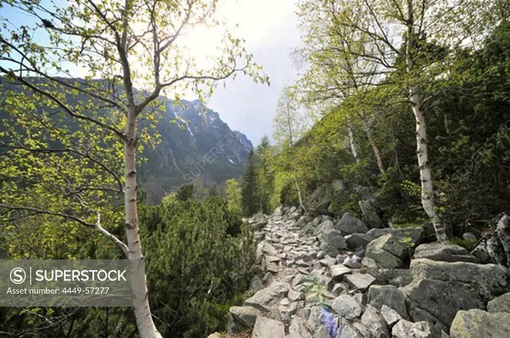 Track over Mount Hrebienok, view onto Mount Lomnicky, High Tatra, Slovakia, Europe