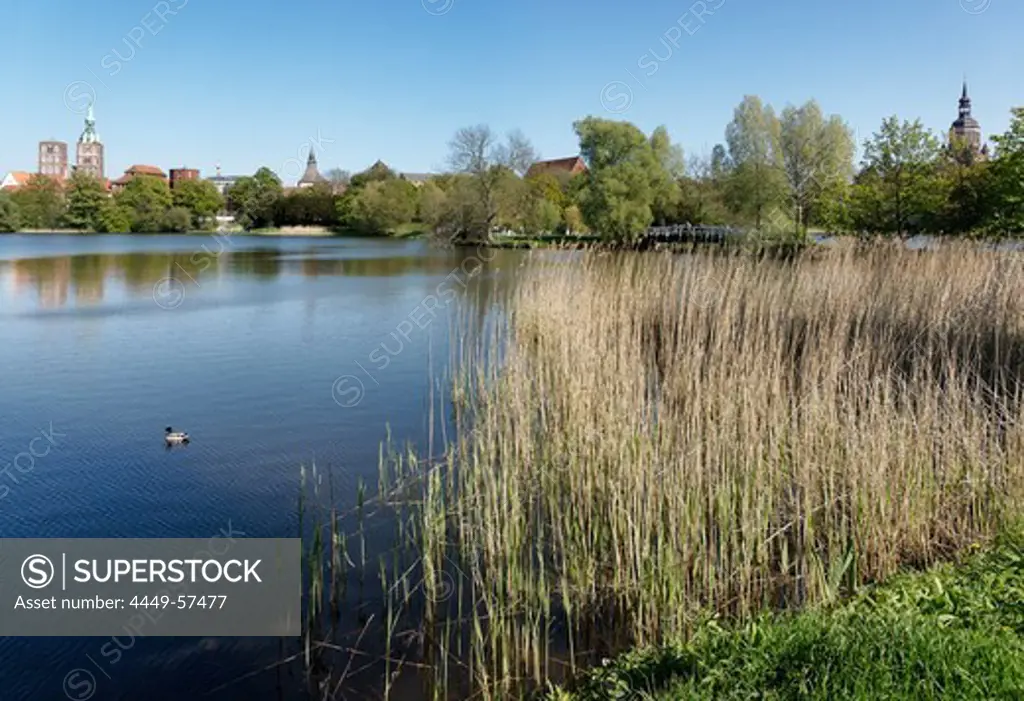 Knieper Pond with St. Nicholas' Church and St. Mary`s Church in the background, Hanseatic Town of Stralsund, Mecklenburg-Western Pomerania, Germany