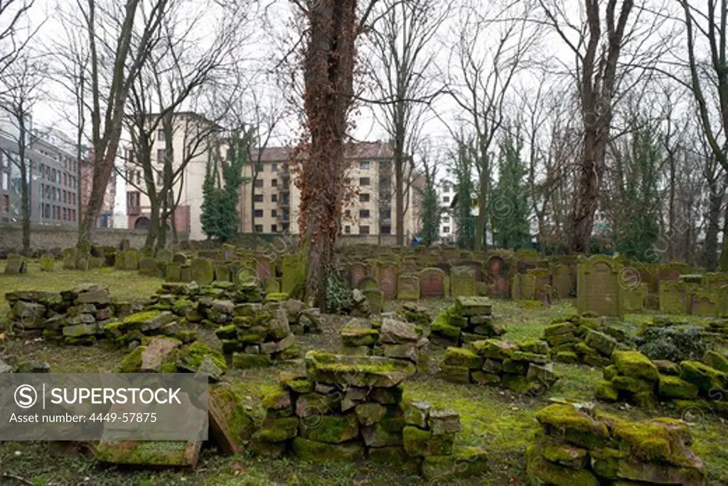 Jewish cemetery Battonnstrasse, it is the oldest jewish cemetery in Frankfurt, Frankfurt am Main, Hesse, Germany, Europe