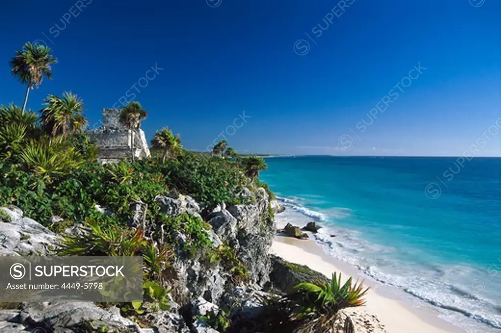 Ruin of Tulum at the coast in the sunlight, Yucatan, Quintana Roo, Mexico, America