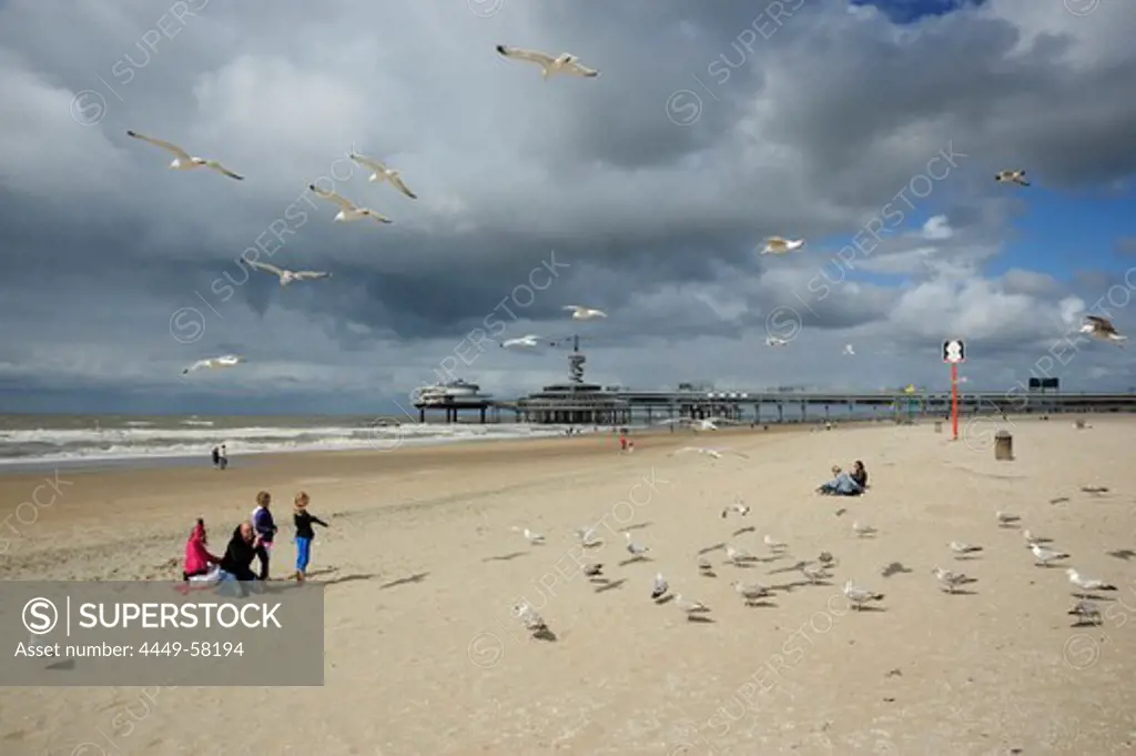 People and seagulls on the beach, Scheveningen pier in the background, The  Hague, Den Haag, Dutch North Sea coast, South Holland, Netherlands -  SuperStock