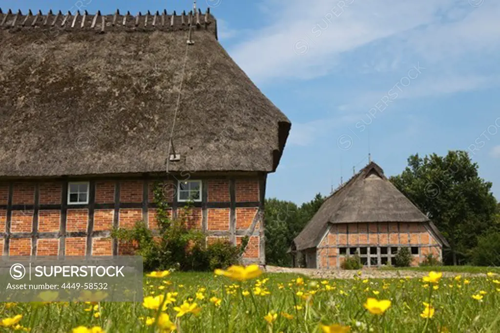 Frisian farm house with thatched roof in the village Unewatt, commune Langballig, county Schleswig-Flensburg, federal state of Schleswig-Holstein, Baltic Sea, Germany, Europe